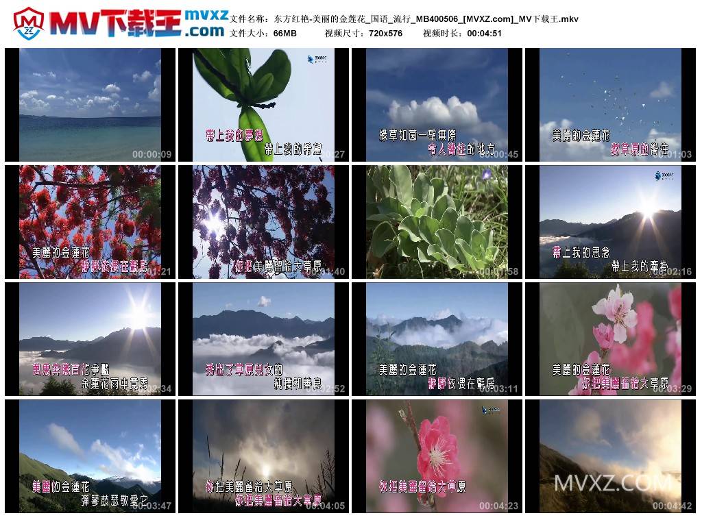 东方红艳-美丽的金莲花_国语_流行_MB400506